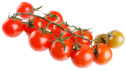Cherry Berry Tomatoes.