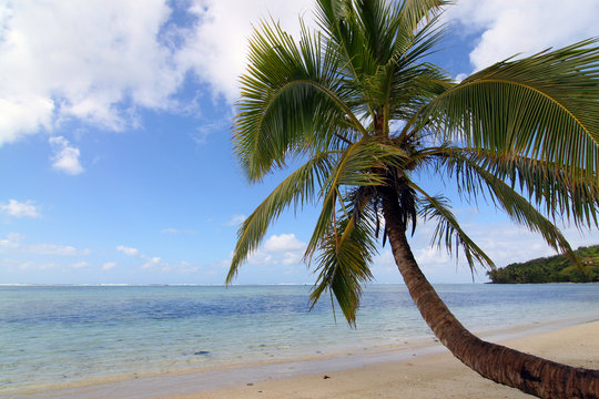 Palmenstrand Nosy Nato