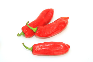 Tasty kitchen. Fresh vegetables isolated on white