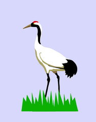 drawing of the crane on turn blue background