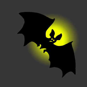 bat against moon