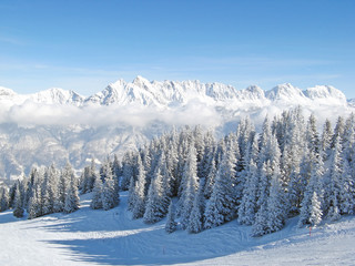 Winter in the alps