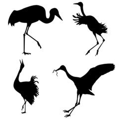 Naklejka premium silhouettes of the cranes on white background