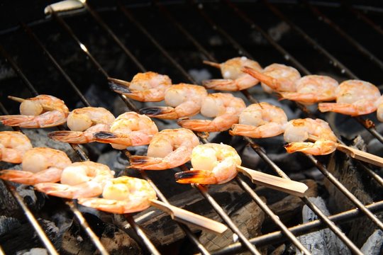 grillspiesschen garnelen I