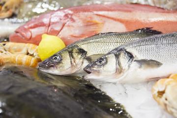 Two seabasses and other seafood
