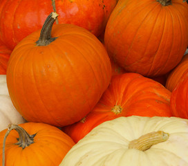 pile of pumpkins