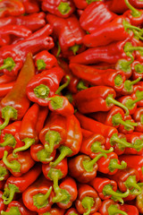 pile of red chili peppers