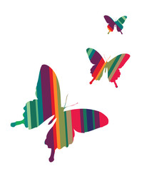 Butterflies on white background