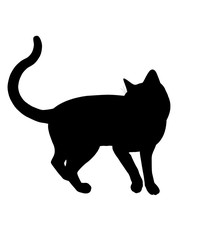 Cat Illustration Silhouette