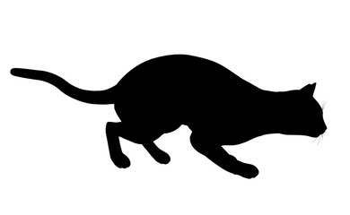Cat Illustration Silhouette