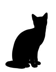 Cat Illustration Silhouette
