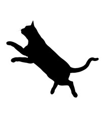 Cat Illustration Silhouette