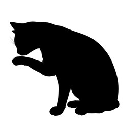 Cat Illustration Silhouette