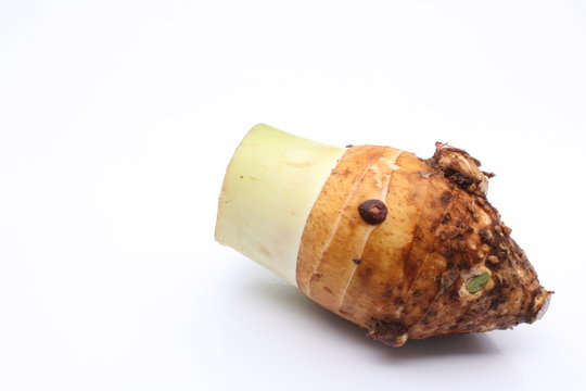 Taro / 芋