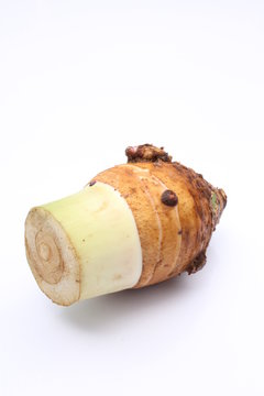 Taro / 芋