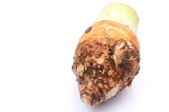 Taro / 芋