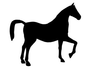 Horse Illustration Silhouette © Kathy Gold
