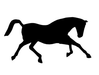Fototapeta na wymiar Horse Illustration Silhouette