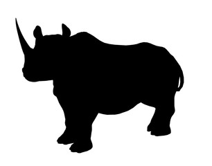 Rhinoceros Illustration Silhouette