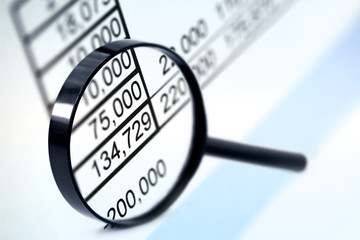 Magnifier over Figures