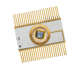 microchip