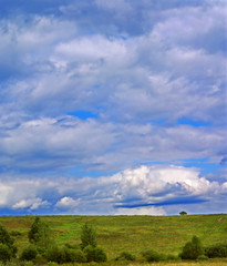 Fototapeta premium Summer landscape j