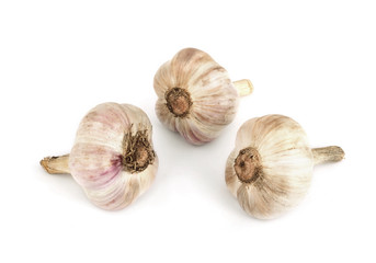 Head of garlic..