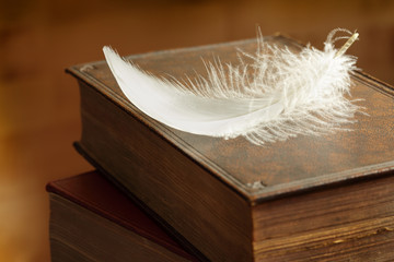 White feather