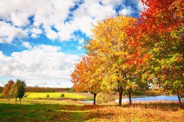 autumn landscape