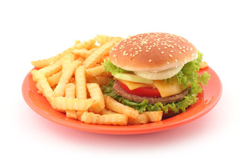 Fast food - Burger with french fries