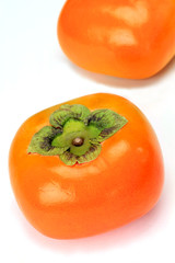 persimmon