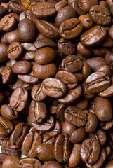 Coffee beans background