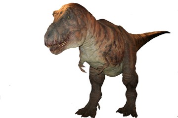 Obraz premium T-rex