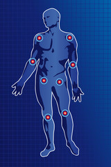 Anatomie des articulations