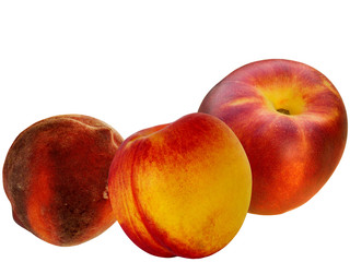 Fruit  fresh  nectarine