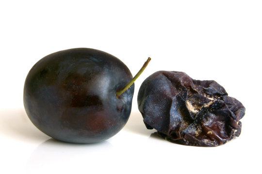 Fresh plum and rotten plum