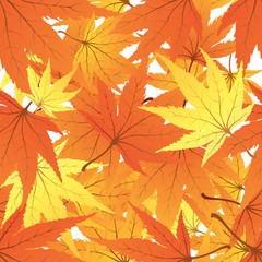 maple  leaves seamless background