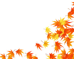 maple leaves background
