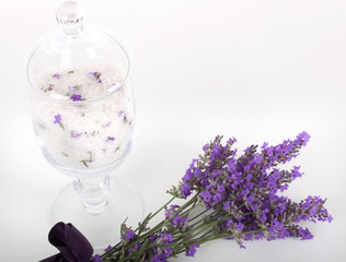 Fiore di lavanda