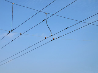 Wires, power isolator, blue sky, white clouds, sunny day