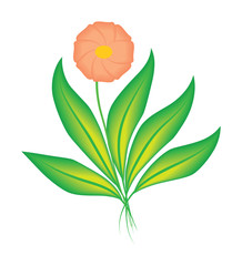 flower with leaves on a white background