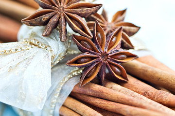 Cinnamon and star anise wrapped in Christmas ribbons.
