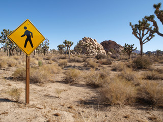 Pedestrian Crossing Joshua Trees