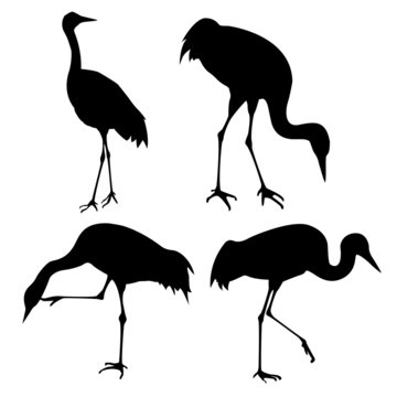 silhouette of the cranes on white background