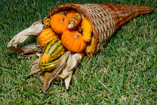 Cornucopia