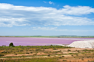 Landscape with a pink salt-marsh and a salt dune