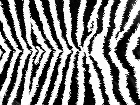 Zebra skin pattern on leather background
