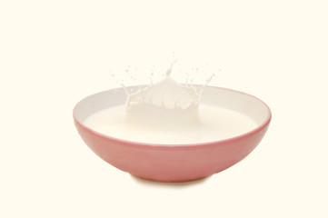 Milk splash in a plate on white background