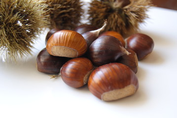 castagne