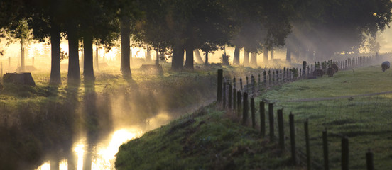 A landscape with fog and a sunrise in the Netherlands - 17543654